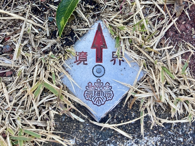 山林測量イメージ