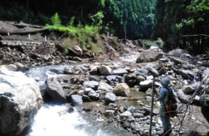 ー山林測量の手続きと流れを初心者向けにやさしく解説ー